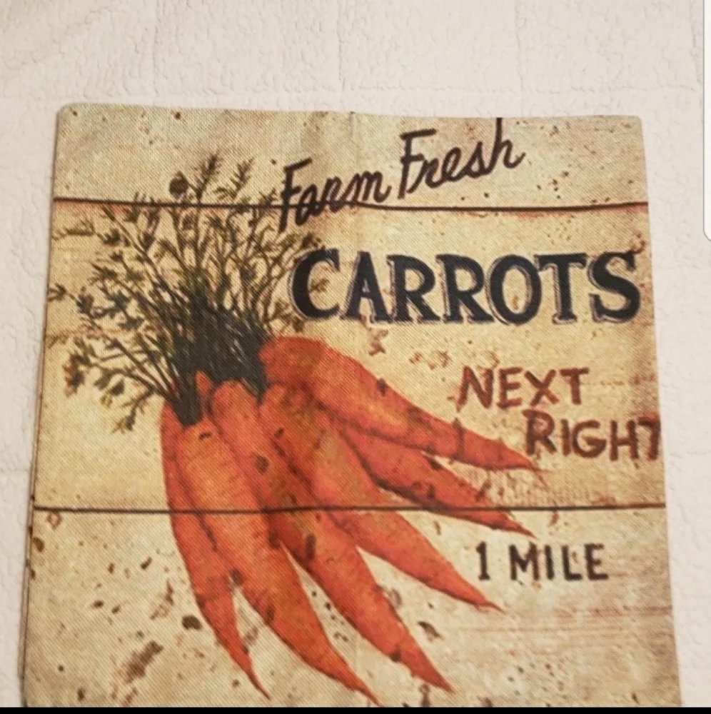 NEW CARROT PILLOW COVER‎ 18